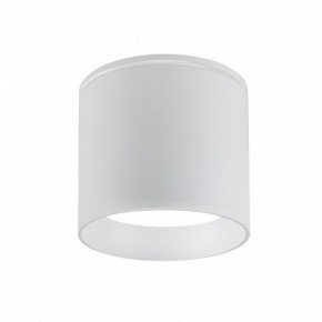 Накладной светильник Favourite Fantum 4662-1U в Кунгуре - kungur.mebel24.online | фото 2