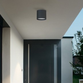 Накладной светильник Favourite Fantum 4663-1U в Кунгуре - kungur.mebel24.online | фото 3