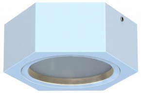 Накладной светильник Favourite Fantum 4665-1U в Кунгуре - kungur.mebel24.online | фото