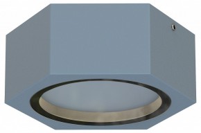 Накладной светильник Favourite Fantum 4666-1U в Кунгуре - kungur.mebel24.online | фото