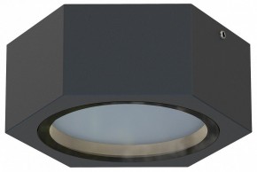 Накладной светильник Favourite Fantum 4667-1U в Кунгуре - kungur.mebel24.online | фото