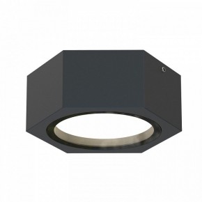 Накладной светильник Favourite Fantum 4667-1U в Кунгуре - kungur.mebel24.online | фото 2