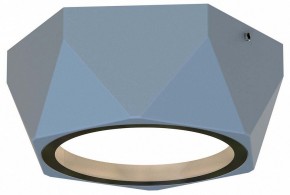 Накладной светильник Favourite Fantum 4669-1U в Кунгуре - kungur.mebel24.online | фото