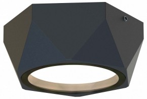 Накладной светильник Favourite Fantum 4670-1U в Кунгуре - kungur.mebel24.online | фото