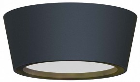 Накладной светильник Favourite Fantum 4675-1U в Кунгуре - kungur.mebel24.online | фото
