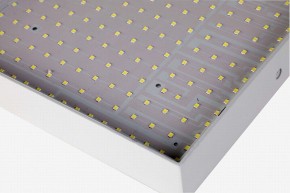 Накладной светильник Favourite Flashled 2066-30C в Кунгуре - kungur.mebel24.online | фото 2