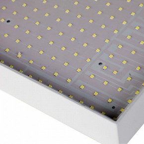 Накладной светильник Favourite Flashled 2066-30C в Кунгуре - kungur.mebel24.online | фото 4