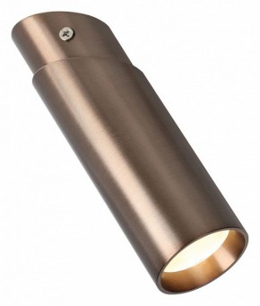 Накладной светильник Favourite Insuper 2798-1U в Кунгуре - kungur.mebel24.online | фото 3