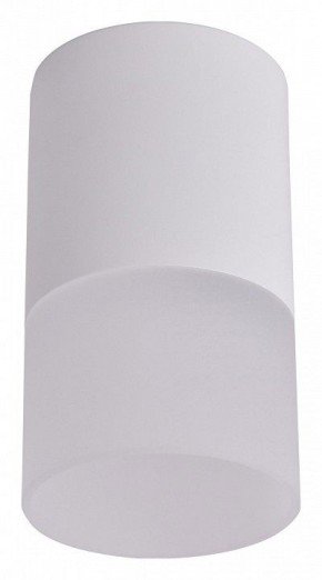 Накладной светильник Favourite Naram 3069-1C в Кунгуре - kungur.mebel24.online | фото