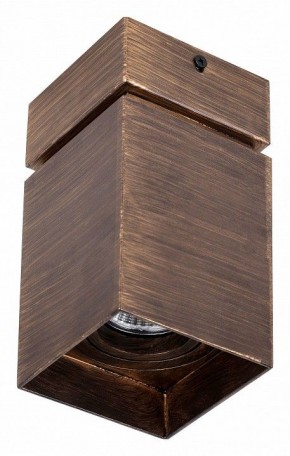 Накладной светильник Favourite Retro 2794-1U в Кунгуре - kungur.mebel24.online | фото 2