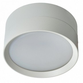 Накладной светильник Feron HL357 48740 в Кунгуре - kungur.mebel24.online | фото 3