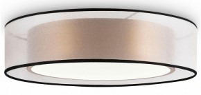 Накладной светильник Freya Zoticus FR6005CL-L36G в Кунгуре - kungur.mebel24.online | фото 2