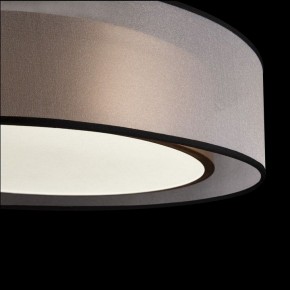 Накладной светильник Freya Zoticus FR6005CL-L36G в Кунгуре - kungur.mebel24.online | фото 4