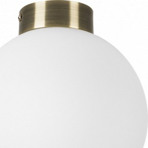 Накладной светильник Lightstar Globo 812021 в Кунгуре - kungur.mebel24.online | фото 3