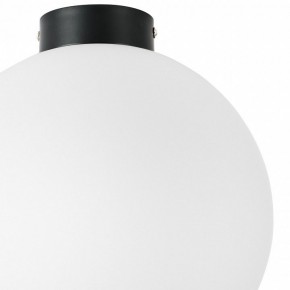 Накладной светильник Lightstar Globo 812037 в Кунгуре - kungur.mebel24.online | фото 3