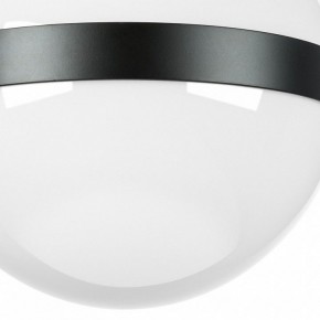 Накладной светильник Lightstar Globo 812117 в Кунгуре - kungur.mebel24.online | фото 3