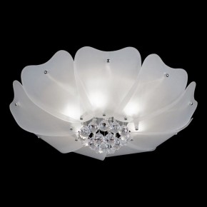 Накладной светильник Lightstar Lobo 804020 в Кунгуре - kungur.mebel24.online | фото 2