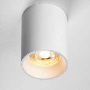 Накладной светильник Lightstar Rullo 213436 в Кунгуре - kungur.mebel24.online | фото 2