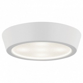 Накладной светильник Lightstar Urbano 214902 в Кунгуре - kungur.mebel24.online | фото