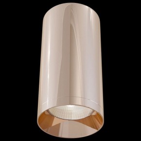 Накладной светильник Maytoni Alfa C010CL-01RG в Кунгуре - kungur.mebel24.online | фото 2