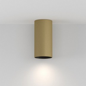 Накладной светильник Maytoni Artisan C080CL-01-GU10-MG в Кунгуре - kungur.mebel24.online | фото 4