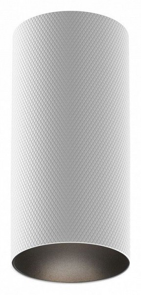 Накладной светильник Maytoni Artisan C080CL-01-GU10-W в Кунгуре - kungur.mebel24.online | фото