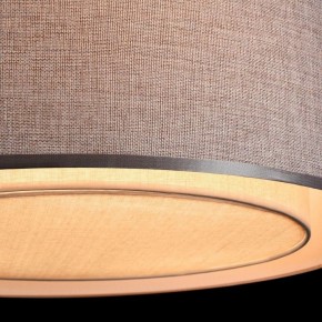 Накладной светильник Maytoni Bergamo MOD613CL-04GR в Кунгуре - kungur.mebel24.online | фото 10