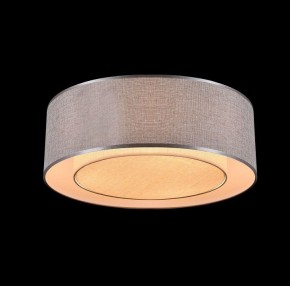 Накладной светильник Maytoni Bergamo MOD613CL-04GR в Кунгуре - kungur.mebel24.online | фото 4
