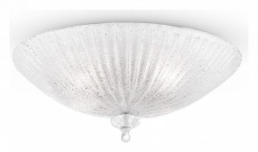 Накладной светильник Maytoni Bonnet C809CL-04CH в Кунгуре - kungur.mebel24.online | фото 2