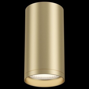 Накладной светильник Maytoni Focus S C052CL-01MG в Кунгуре - kungur.mebel24.online | фото 2