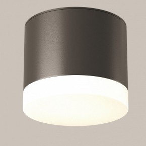 Накладной светильник Maytoni Pauline C087CL-GX53-B в Кунгуре - kungur.mebel24.online | фото 3