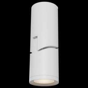 Накладной светильник Maytoni Tube C019CW-01W в Кунгуре - kungur.mebel24.online | фото 2