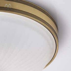Накладной светильник MW-Light Ангел 12 295013402 в Кунгуре - kungur.mebel24.online | фото 7