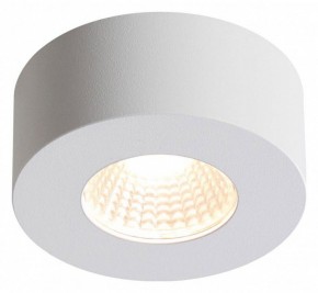 Накладной светильник Odeon Light Bene 4282/7CL в Кунгуре - kungur.mebel24.online | фото 2
