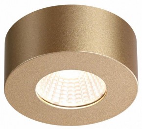 Накладной светильник Odeon Light Bene 4284/7CL в Кунгуре - kungur.mebel24.online | фото 4