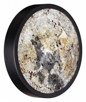 Накладной светильник Odeon Light Bergi 5064/15WL в Кунгуре - kungur.mebel24.online | фото 7