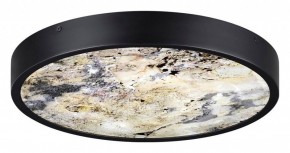 Накладной светильник Odeon Light Bergi 5064/24L в Кунгуре - kungur.mebel24.online | фото 4