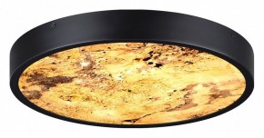 Накладной светильник Odeon Light Bergi 5064/24L в Кунгуре - kungur.mebel24.online | фото 5