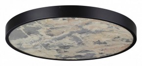 Накладной светильник Odeon Light Bergi 5064/50L в Кунгуре - kungur.mebel24.online | фото 3