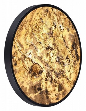 Накладной светильник Odeon Light Bergi 5064/50L в Кунгуре - kungur.mebel24.online | фото 5