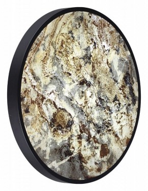 Накладной светильник Odeon Light Bergi 5064/50L в Кунгуре - kungur.mebel24.online | фото 6