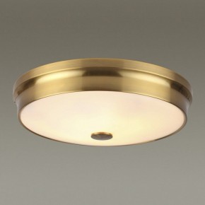 Накладной светильник Odeon Light Marsei 4824/4C в Кунгуре - kungur.mebel24.online | фото 2