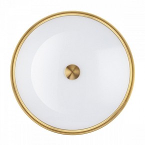 Накладной светильник Odeon Light Marsei 4824/4C в Кунгуре - kungur.mebel24.online | фото 3