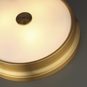 Накладной светильник Odeon Light Marsei 4824/4C в Кунгуре - kungur.mebel24.online | фото 5