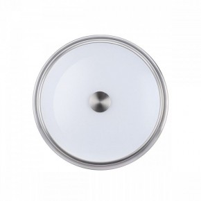 Накладной светильник Odeon Light Marsei 4825/3C в Кунгуре - kungur.mebel24.online | фото 2