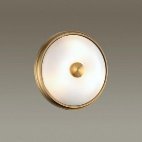 Накладной светильник Odeon Light Pelow 4956/2 в Кунгуре - kungur.mebel24.online | фото 2