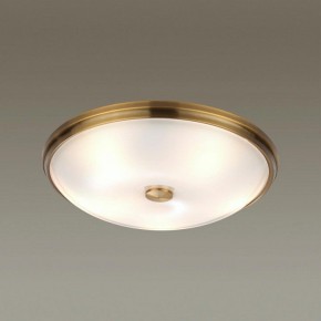 Накладной светильник Odeon Light Pelow 4956/5 в Кунгуре - kungur.mebel24.online | фото 2
