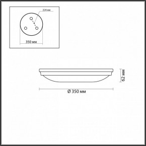 Накладной светильник Odeon Light Pelow 4957/4 в Кунгуре - kungur.mebel24.online | фото 3