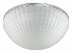 Накладной светильник Odeon Light Pirsa 4937/4C в Кунгуре - kungur.mebel24.online | фото 2