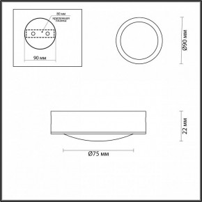 Накладной светильник Odeon Light Reus 4342/7CL в Кунгуре - kungur.mebel24.online | фото 4